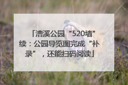 漕溪公园“520墙”续：公园导览图完成“补录”，还能扫码阅读