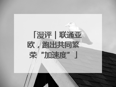 漫评｜联通亚欧，跑出共同繁荣“加速度”