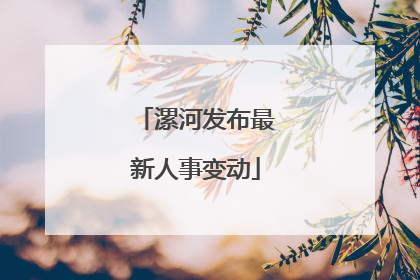 漯河发布最新人事变动