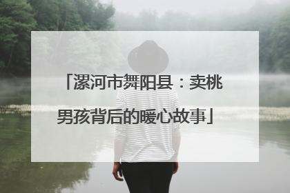 漯河市舞阳县：卖桃男孩背后的暖心故事