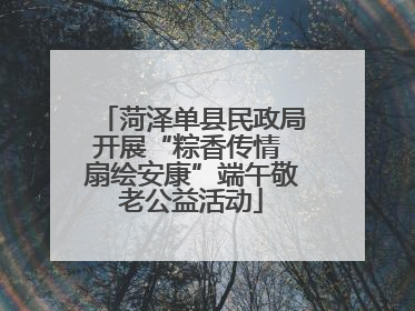 菏泽单县民政局开展“粽香传情 扇绘安康”端午敬老公益活动