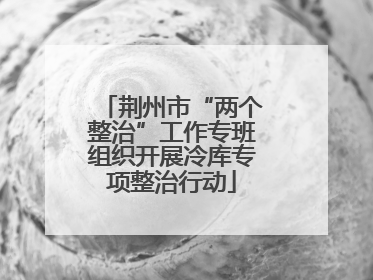 荆州市“两个整治”工作专班组织开展冷库专项整治行动
