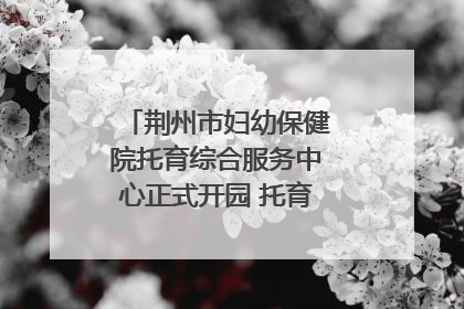 荆州市妇幼保健院托育综合服务中心正式开园 托育宣传月同步启动