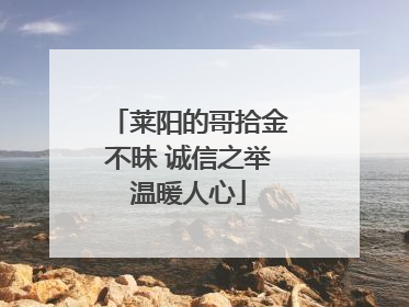 莱阳的哥拾金不昧 诚信之举温暖人心