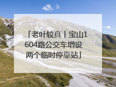 老叶较真丨宝山1604路公交车增设两个临时停靠站
