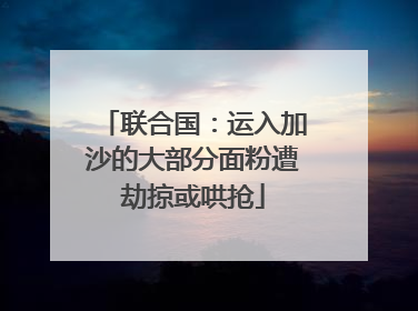 联合国：运入加沙的大部分面粉遭劫掠或哄抢