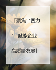 聚焦“四力” 赋能企业高质量发展