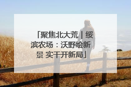 聚焦北大荒｜绥滨农场：沃野绘新景 实干开新局