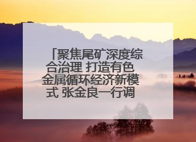 聚焦尾矿深度综合治理 打造有色金属循环经济新模式 张金良一行调研栾川县尾矿库综合治理工作