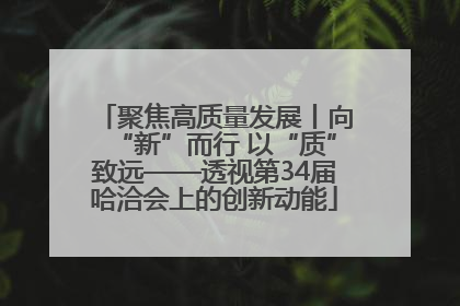聚焦高质量发展丨向“新”而行 以“质”致远——透视第34届哈洽会上的创新动能