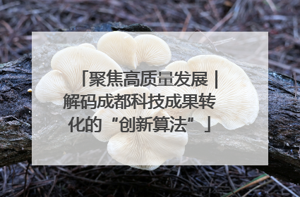聚焦高质量发展｜解码成都科技成果转化的“创新算法”