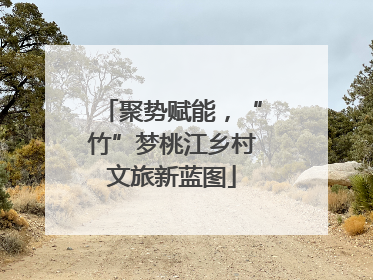 聚势赋能，“竹”梦桃江乡村文旅新蓝图
