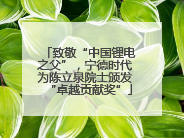 致敬“中国锂电之父”，宁德时代为陈立泉院士颁发“卓越贡献奖”