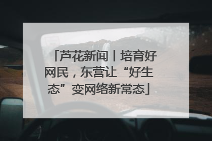 芦花新闻丨培育好网民，东营让“好生态”变网络新常态