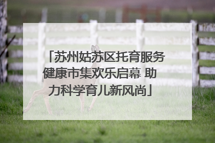 苏州姑苏区托育服务健康市集欢乐启幕 助力科学育儿新风尚