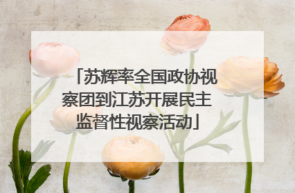 苏辉率全国政协视察团到江苏开展民主监督性视察活动