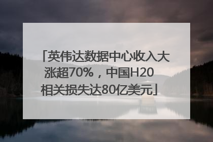 英伟达数据中心收入大涨超70%，中国H20相关损失达80亿美元