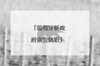 葡萄牙新政府宣誓就职