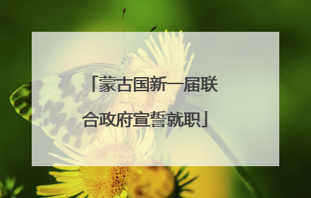 蒙古国新一届联合政府宣誓就职