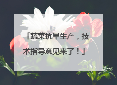 蔬菜抗旱生产，技术指导意见来了！