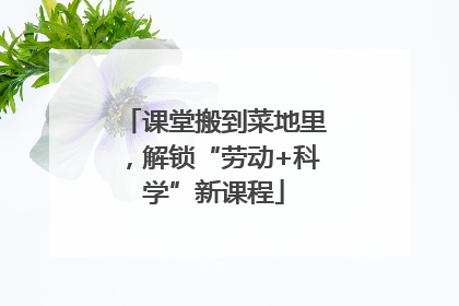 课堂搬到菜地里，解锁“劳动+科学”新课程