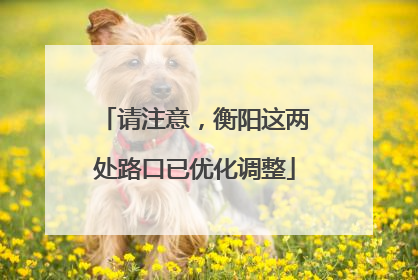 请注意，衡阳这两处路口已优化调整