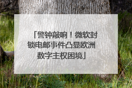 警钟敲响！微软封锁电邮事件凸显欧洲数字主权困境