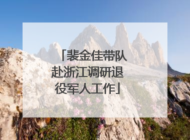 裴金佳带队赴浙江调研退役军人工作