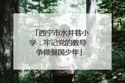西宁市水井巷小学：牢记党的教导 争做强国少年