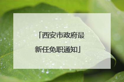 西安市政府最新任免职通知