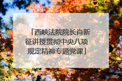 西峡法院院长肖新征讲授贯彻中央八项规定精神专题党课