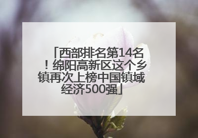 西部排名第14名！绵阳高新区这个乡镇再次上榜中国镇域经济500强