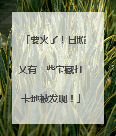 要火了！日照又有一些宝藏打卡地被发现！