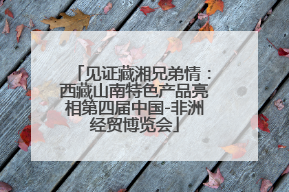 见证藏湘兄弟情：西藏山南特色产品亮相第四届中国-非洲经贸博览会