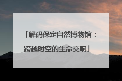 解码保定自然博物馆：跨越时空的生命交响
