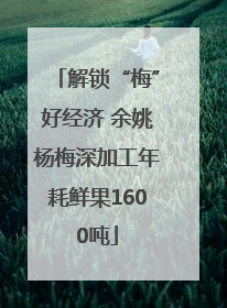 解锁“梅”好经济 余姚杨梅深加工年耗鲜果1600吨