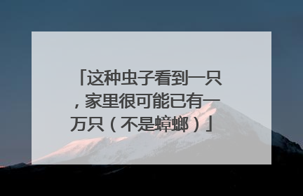 这种虫子看到一只，家里很可能已有一万只（不是蟑螂）