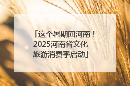 这个暑期回河南！2025河南省文化旅游消费季启动