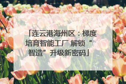 连云港海州区：梯度培育智能工厂 解锁“智造”升级新密码