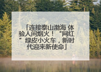 连接泰山渤海 体验人间烟火！“网红”绿皮小火车，新时代迎来新使命