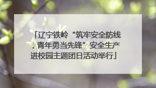 辽宁铁岭“筑牢安全防线，青年勇当先锋”安全生产进校园主题团日活动举行