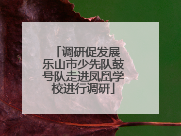 调研促发展 乐山市少先队鼓号队走进凤凰学校进行调研