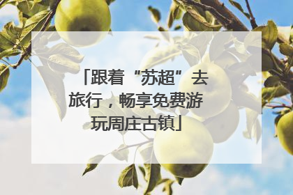 跟着“苏超”去旅行，畅享免费游玩周庄古镇