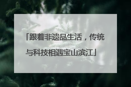 跟着非遗品生活，传统与科技相遇宝山滨江