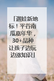 遛娃新地标！平谷南瓜嘉年华，30+品种让孩子边玩边涨知识
