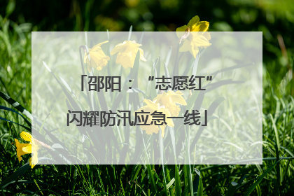 邵阳：“志愿红”闪耀防汛应急一线