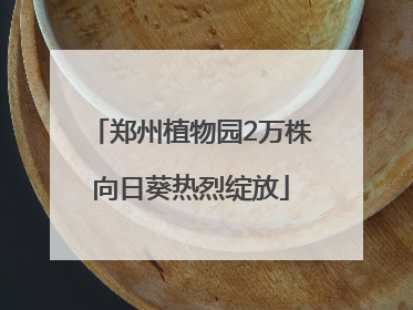 郑州植物园2万株向日葵热烈绽放