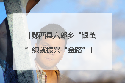 郧西县六郎乡“银茧”织就振兴“金路”