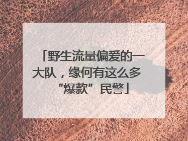 野生流量偏爱的一大队，缘何有这么多“爆款”民警