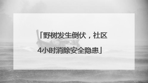 野树发生倒伏，社区4小时消除安全隐患